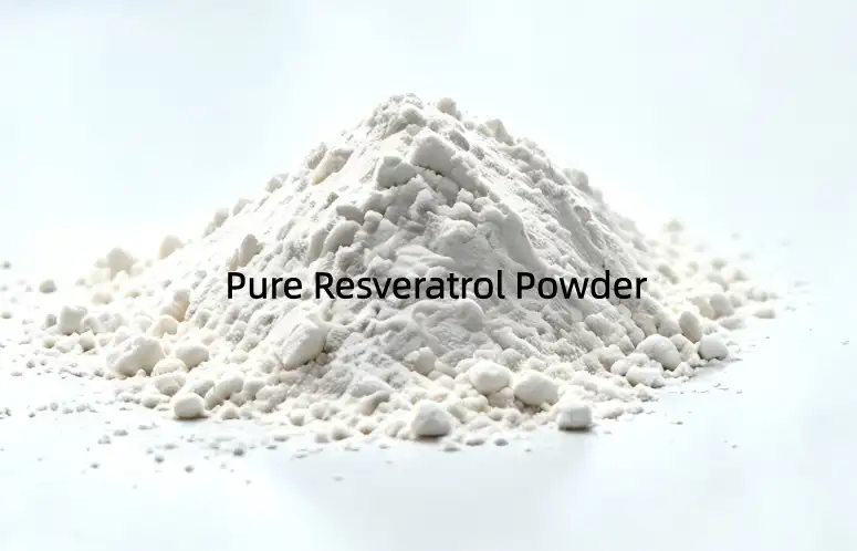 Pure Resveratrol Powder: Bioavailability and Absorption Facts